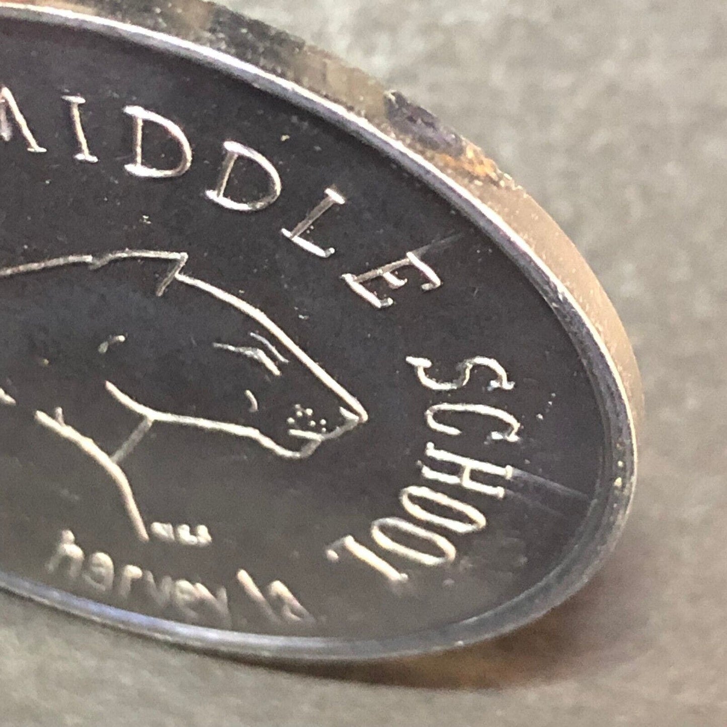 Helen Cox Middle School Harvey, LA Mardi Gras Doubloon Token 37mm c1970's-80's