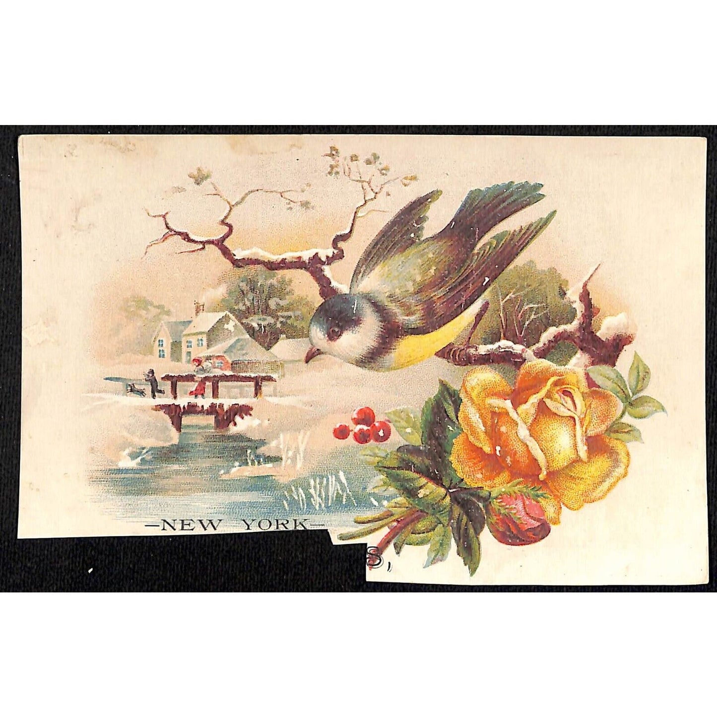 New York Dental Parlors Louisville KY (4) Victorian Trade Cards w/ Birds