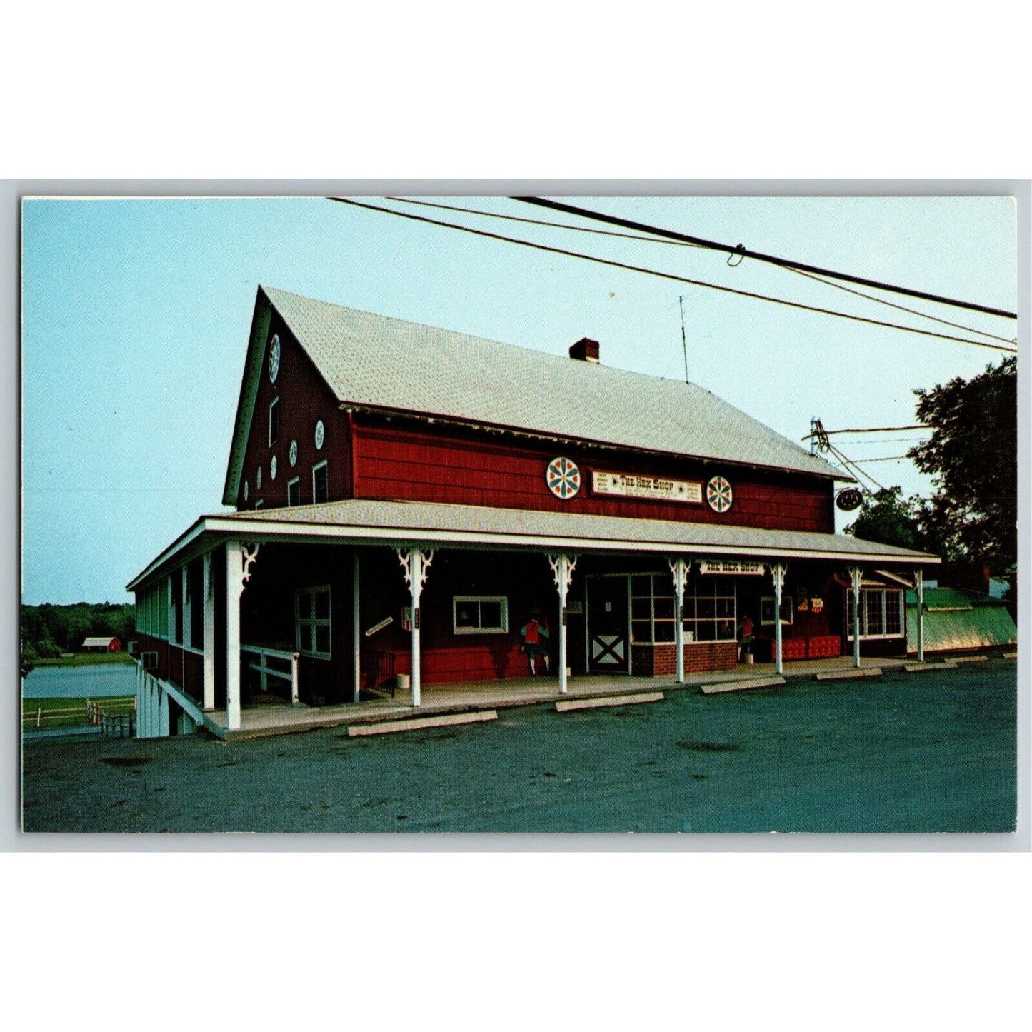 c1960's-70's Vintage Postcard "The Hex Shop" Cow / Pennsylvania Bank Barn VGC