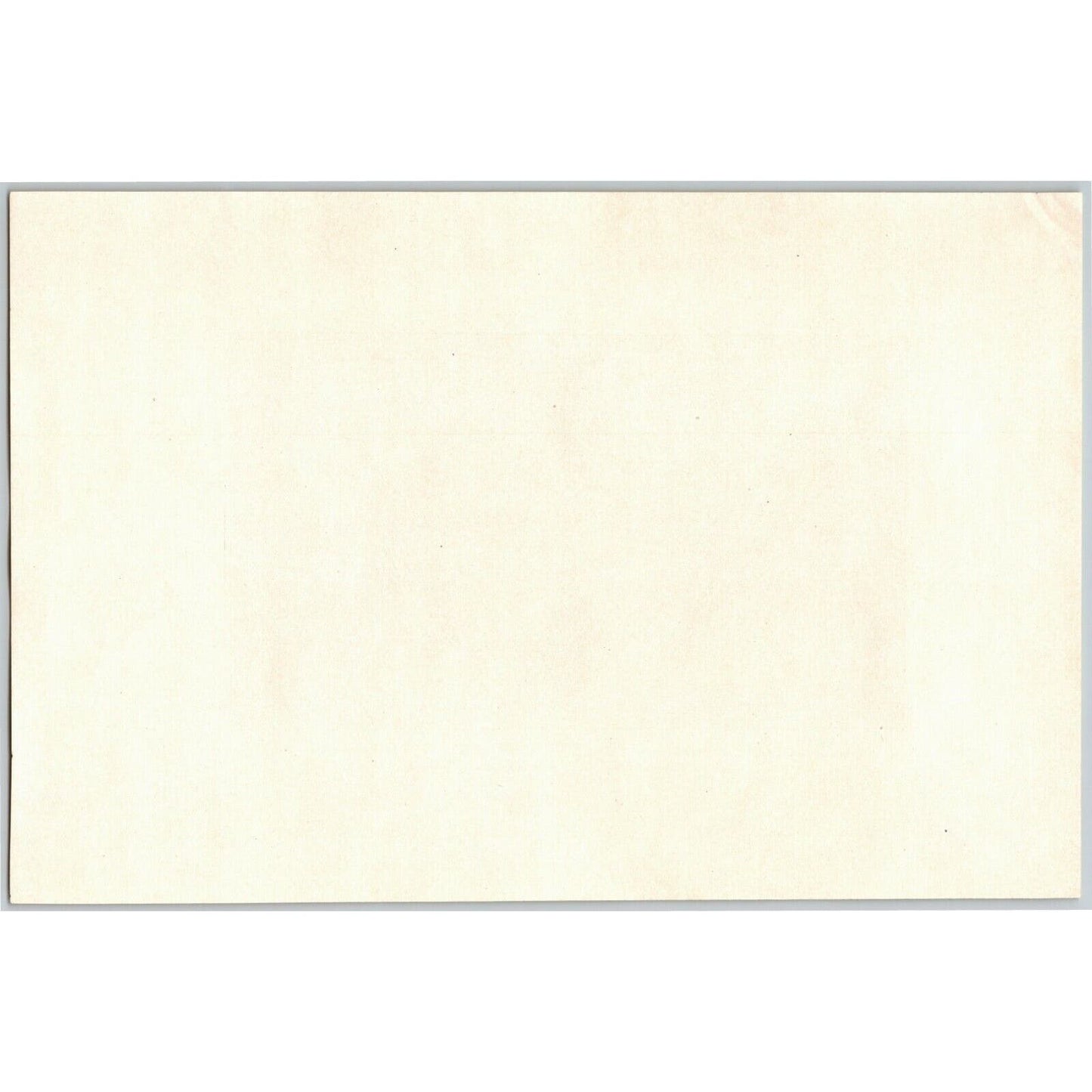 5 1883 U.S. Fish Commission Report Plates 7" x 10.5" Connecticut Oyster Fishery