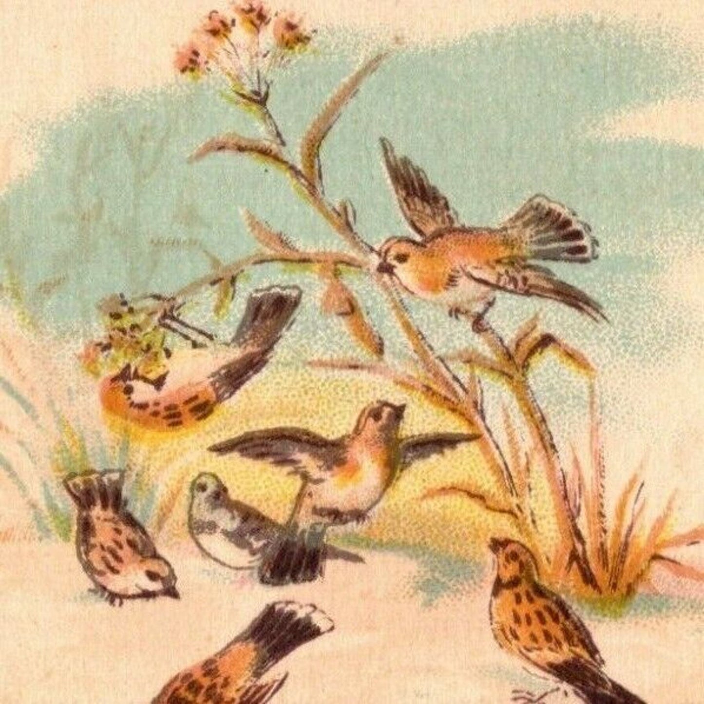 Victorian Trade Card - Eureka Spool Silk - Birds Milling About on the Ground