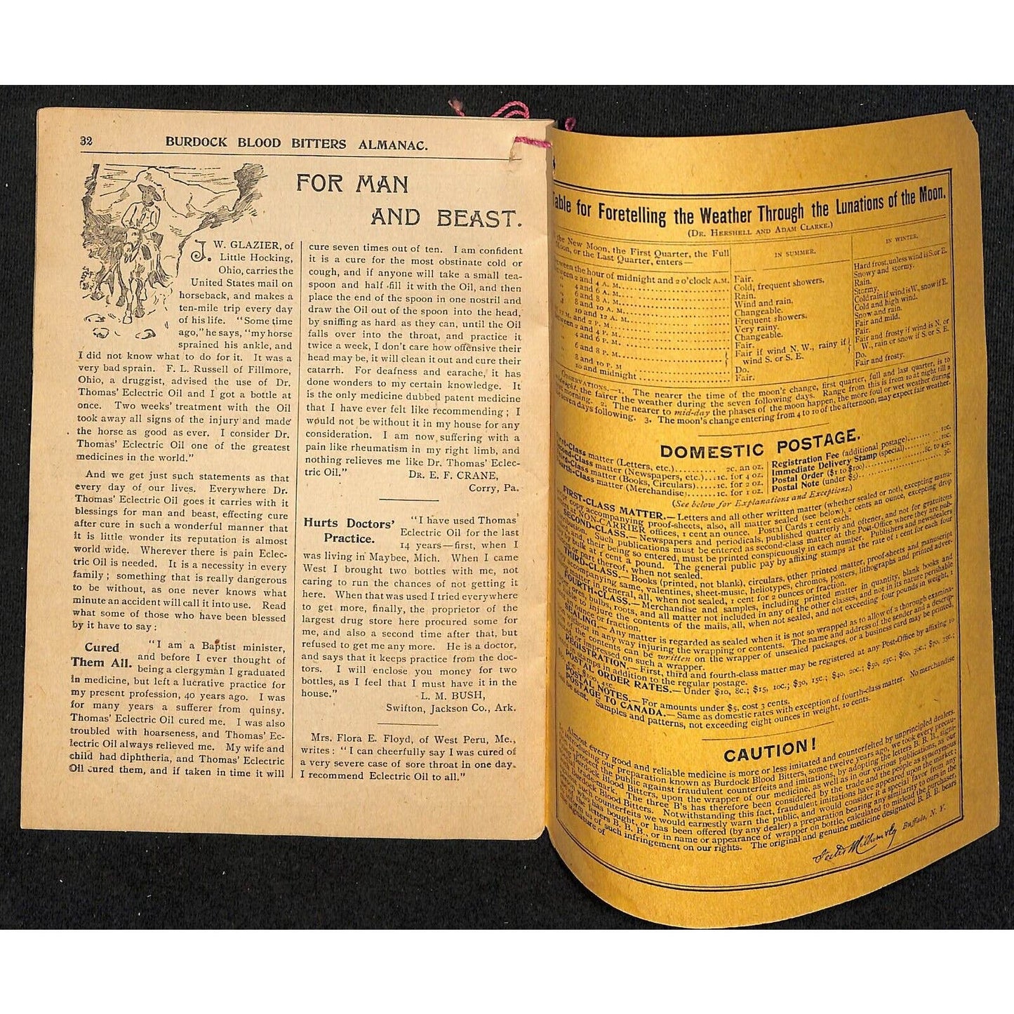 Burdock Blood Bitters 1896 Almanac and Key to Health 32pp VGC