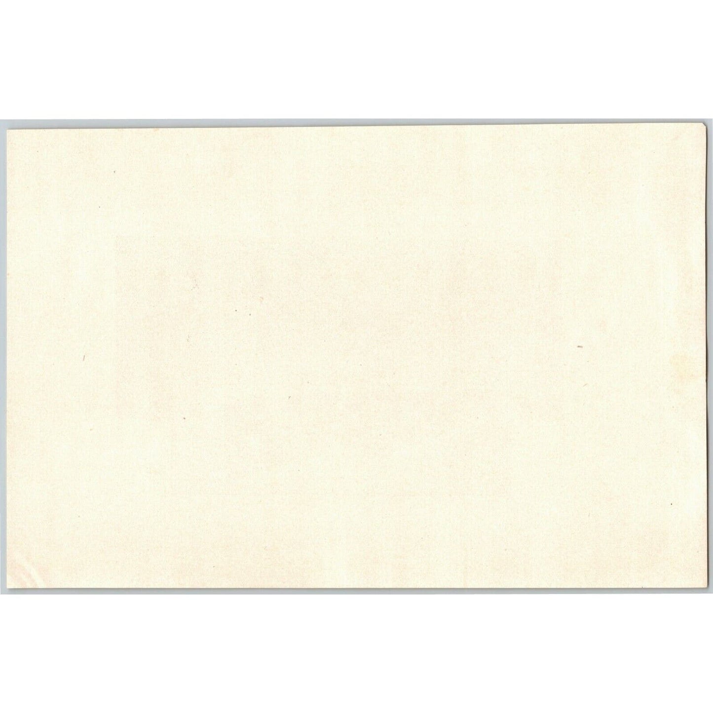 5 1883 U.S. Fish Commission Report Plates 7" x 10.5" Connecticut Oyster Fishery