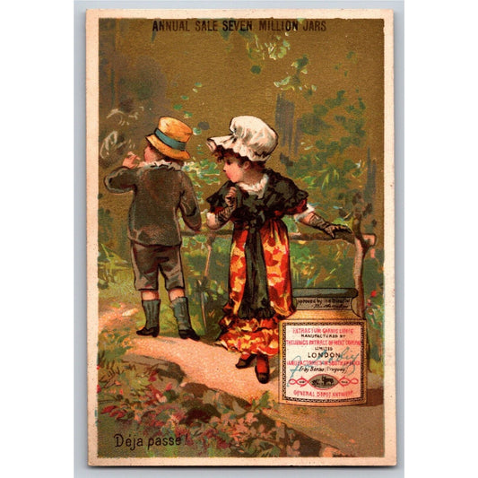 Boy & Girl Walk in Forest Victorian Trade Card Liebig Extract of Meat