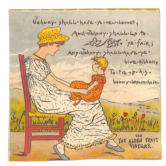 Aldean Fruit Vinegar R.B. Truesdell Grocer Lg. Victorian Trade Card Binghampton