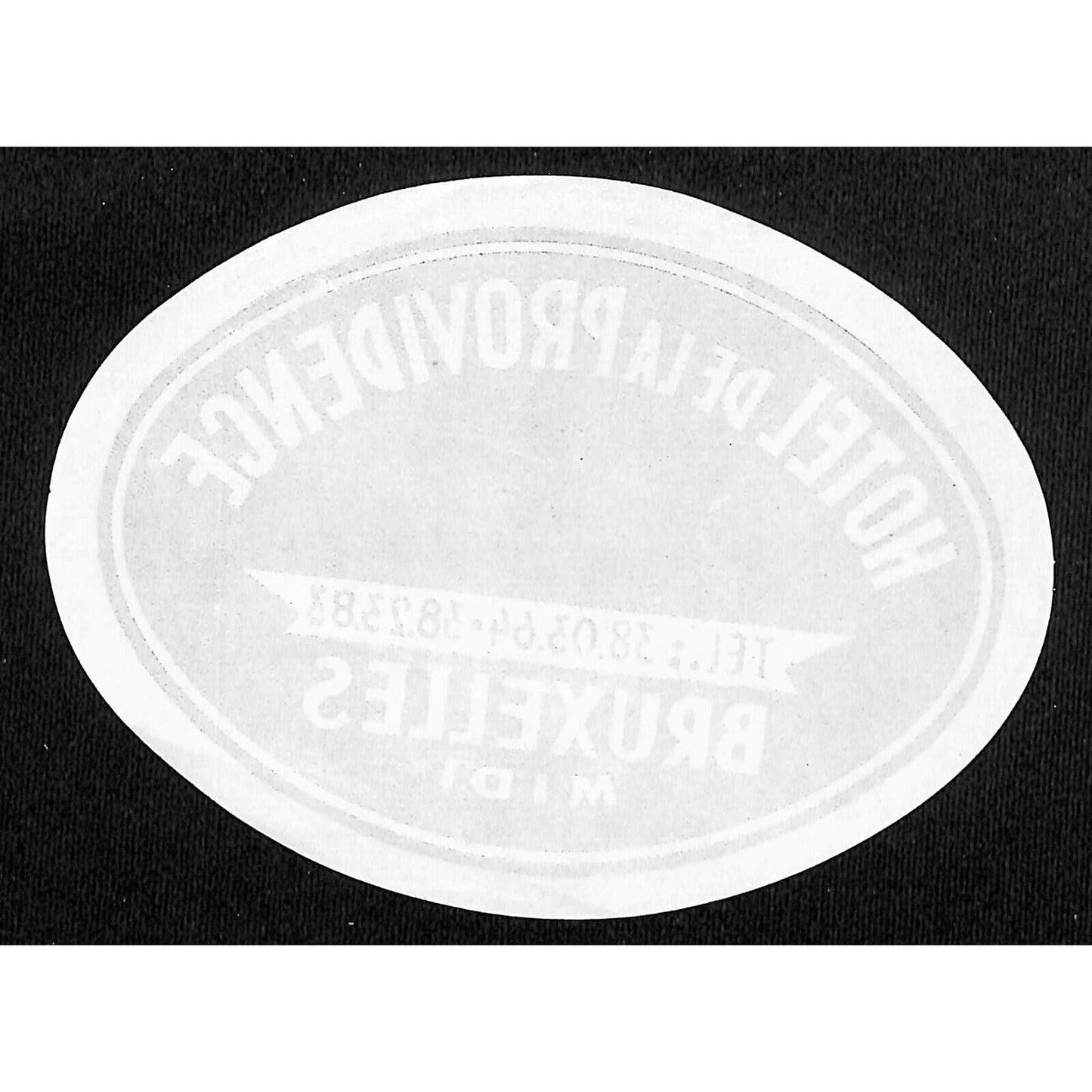 Hôtel de la Providence Bruxelles Midi Luggage Label Vintage NOS VGC Scarce