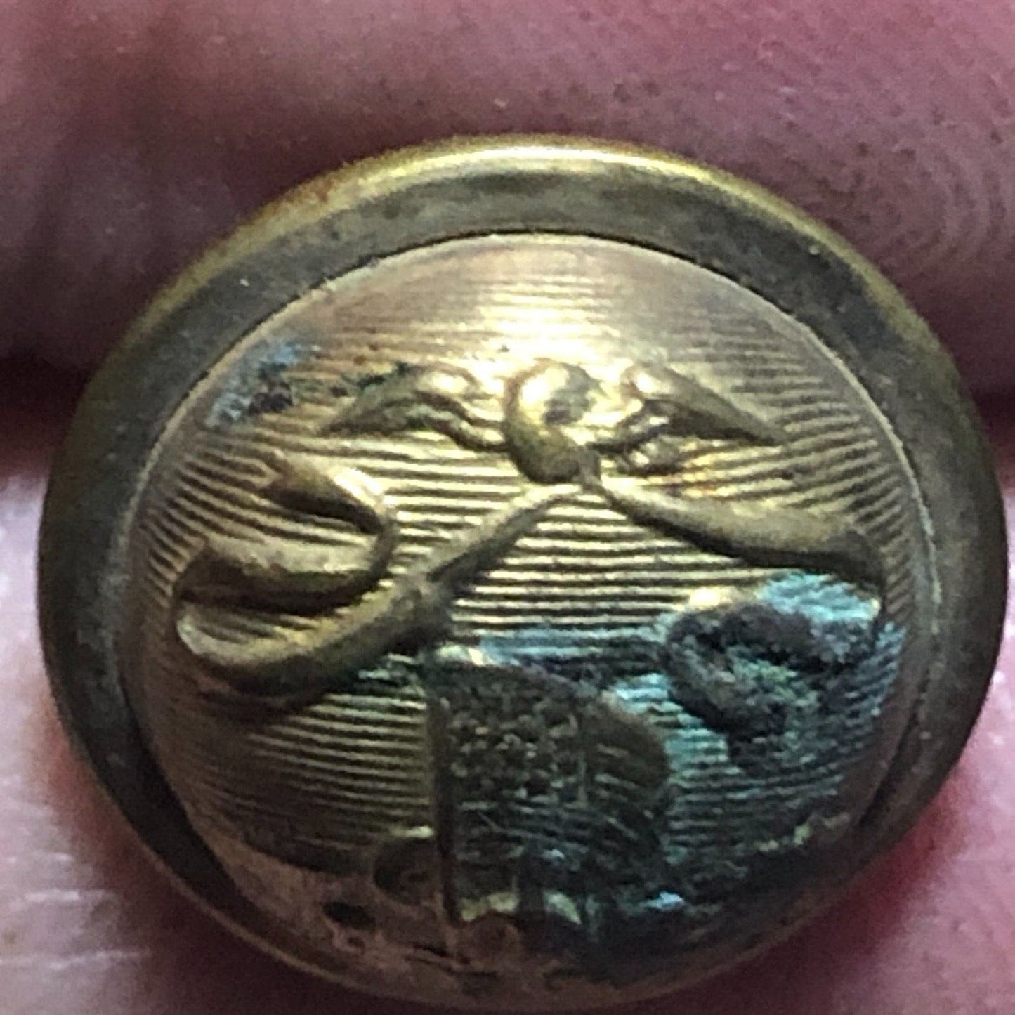 Scovill Eagle Flag Ribbon Soldier Rifle Brass Uniform Button Convex 1/2" Scarce