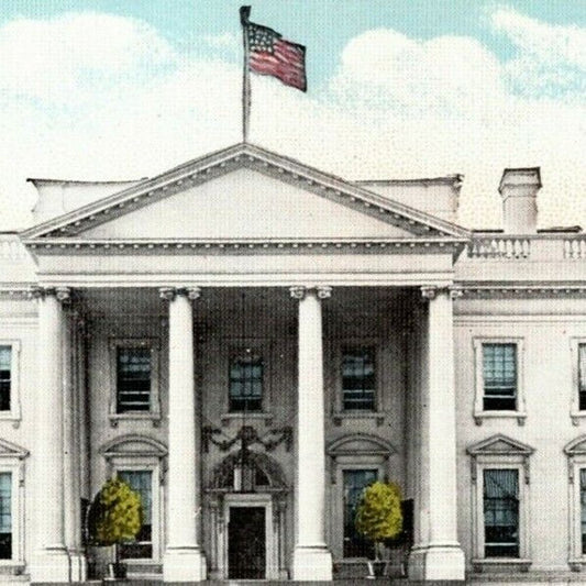 White House, Washington, DC - Vintage Postcard - NP