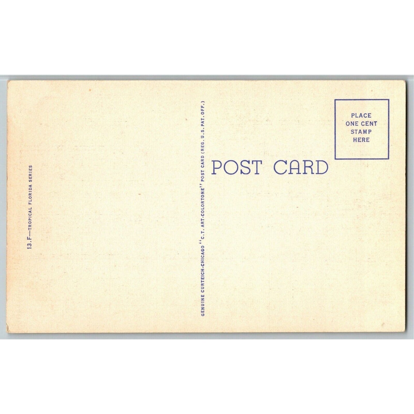 c1940's Vintage Linen Postcard Florida "Royal Poinciana Tree Amidst Royal Palms"