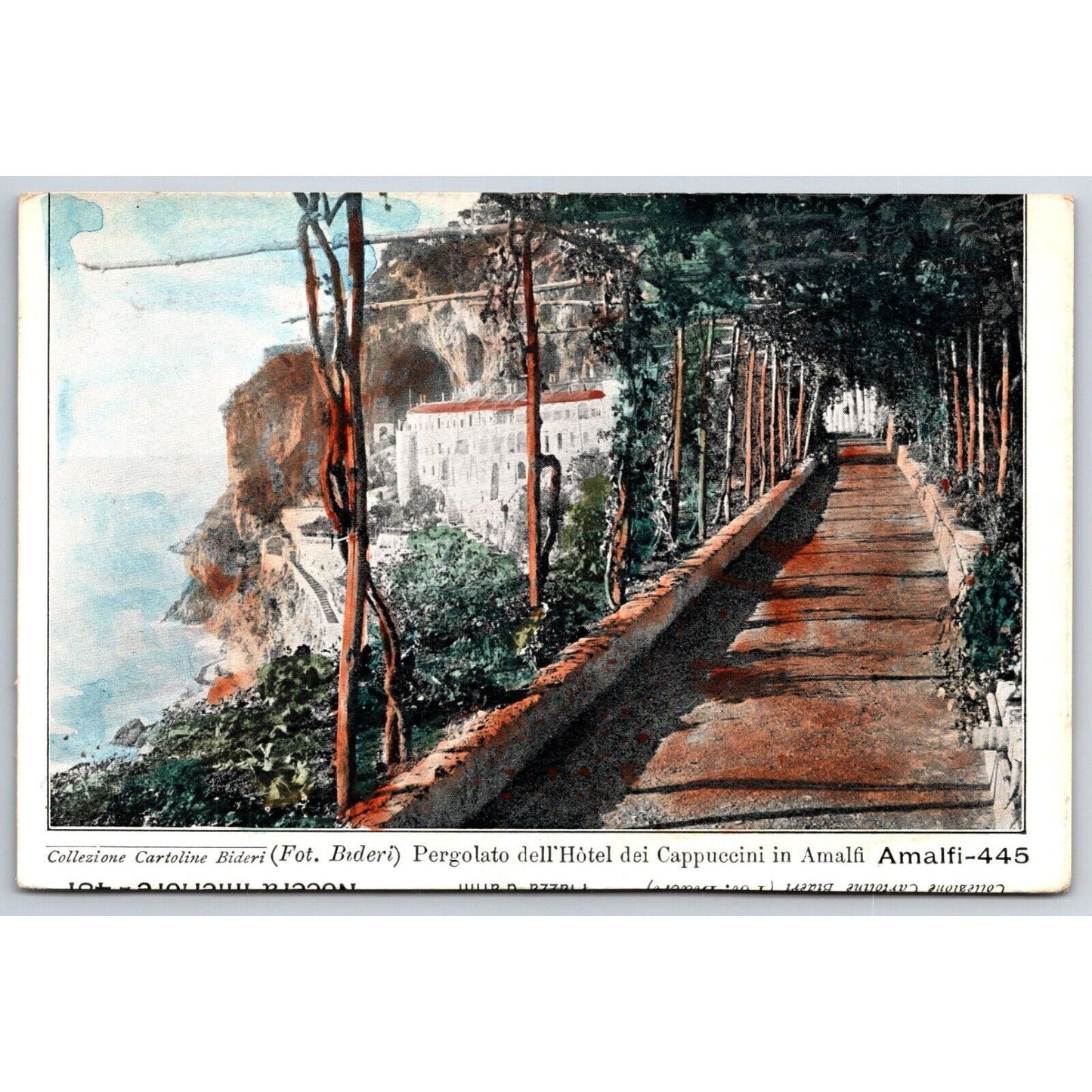 Italian Postcard Pergola of the Hotel dei Capuchins in Amalfi 1901-1907 NP VGC
