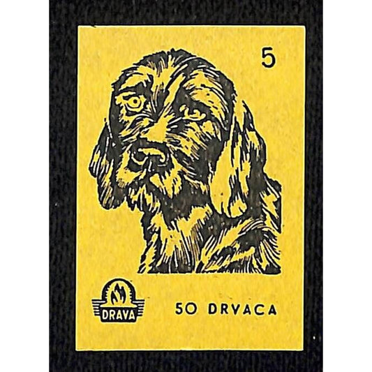 Vintage Yugoslavia Matchbox Label Drvaca Dog Breed Series #5 VGC c1960's