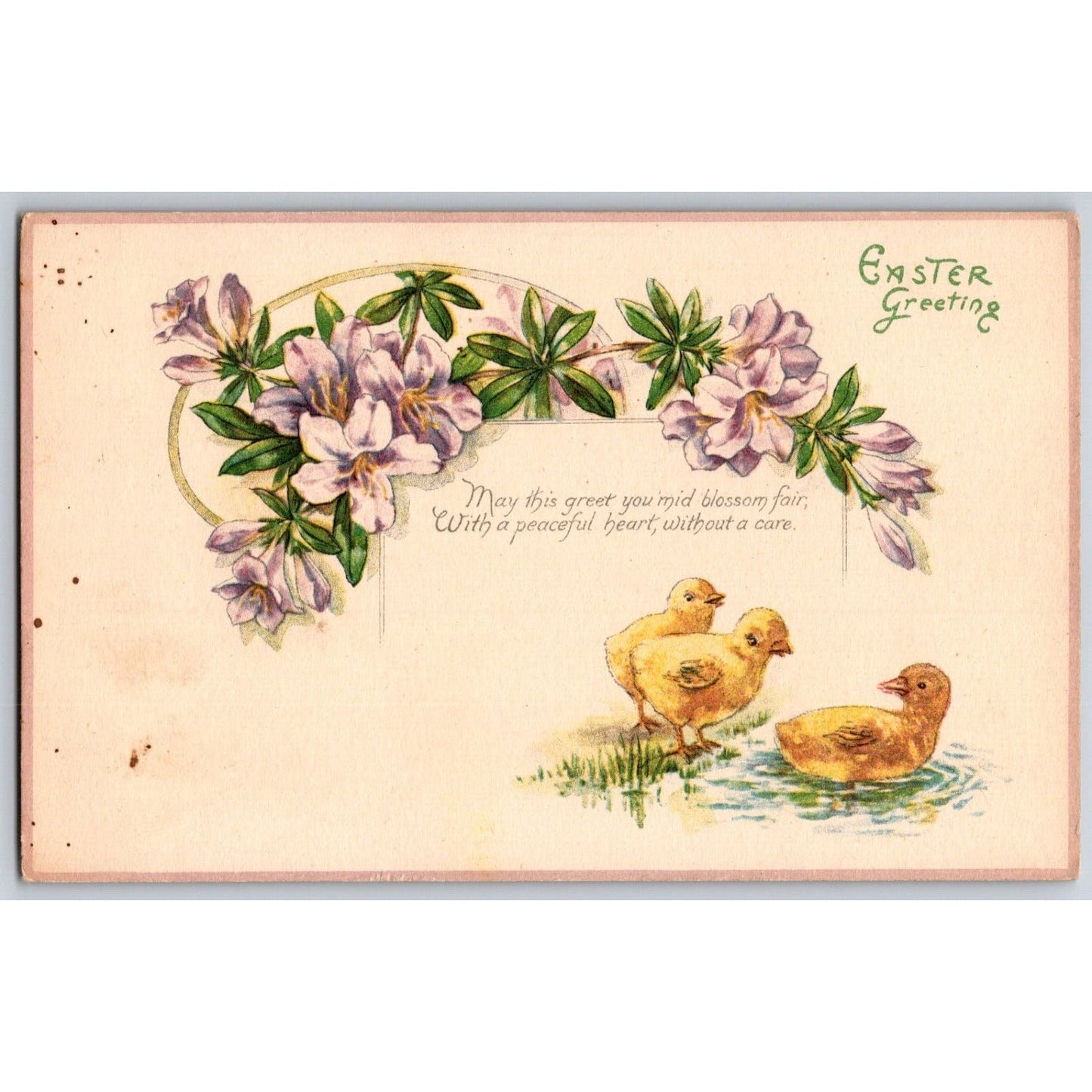 Easter Postcard "Easter Greeting" Floral Poem Baby Chicks Pond NP c1920