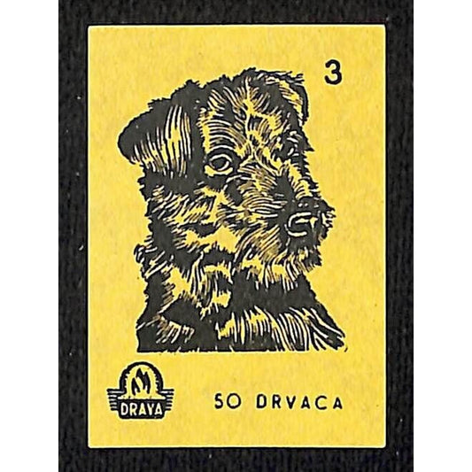 Vintage Yugoslavia Matchbox Label Drvaca Dog Breed Series #3 VGC c1960's