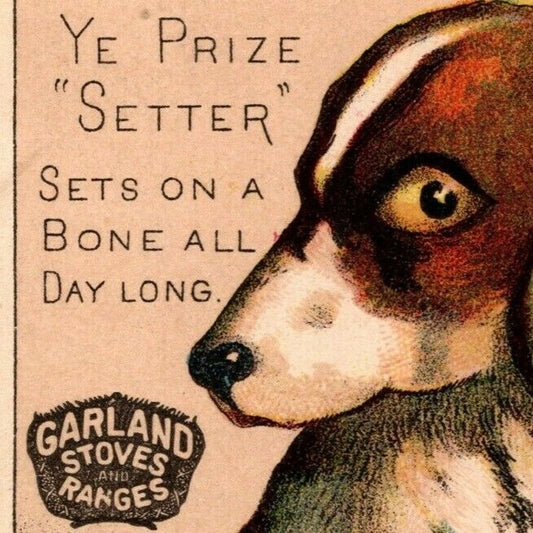 Garland Stoves and Ranges "Ye Prize Setter" Exaggerated Dog Victorian Trade Card