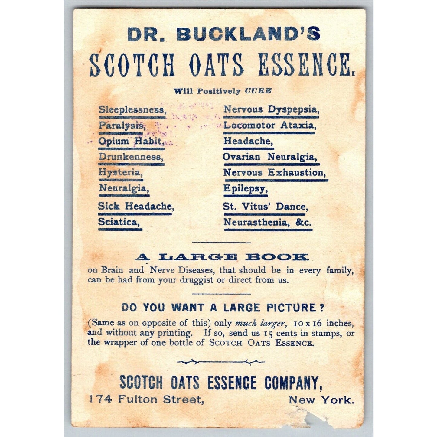 Dr. Buckland's Scotch Oats Essence Victorian Trade Card Woman's Head Oat Field