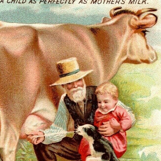 Large Scarce 1893 Chicago World's Fair Trade Card Carnrick's Lacto-Preparata Cow