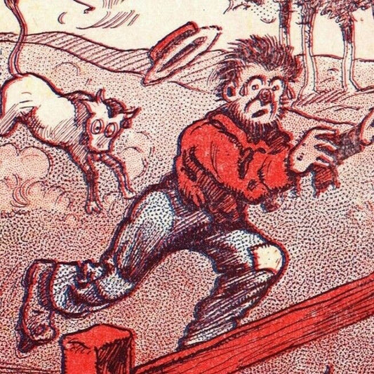 "Millions For De-Fence" c1906 Undivided Comic Farm Humor Postcard