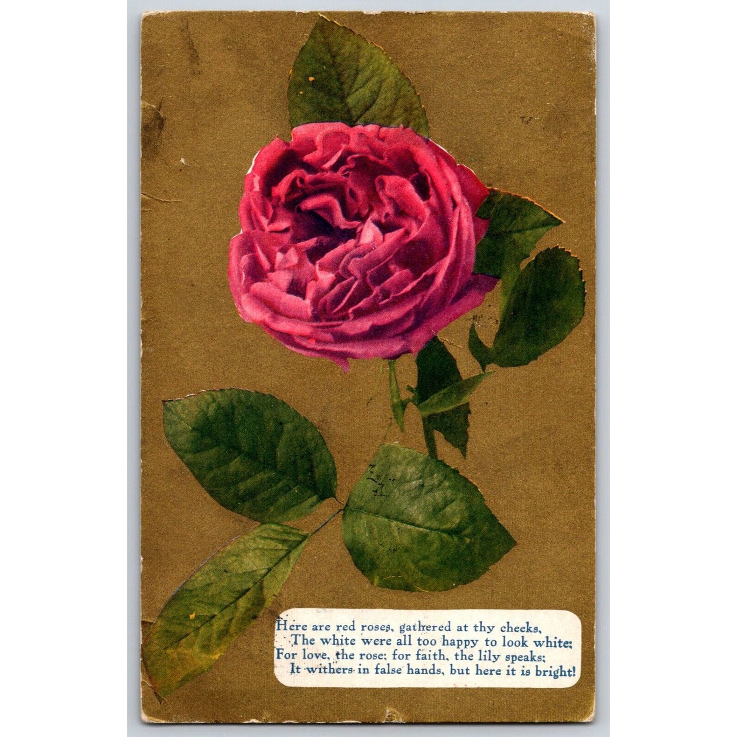 Romantic Postcard w/Rose & Poem - Gilt / Gold Background PM 1911