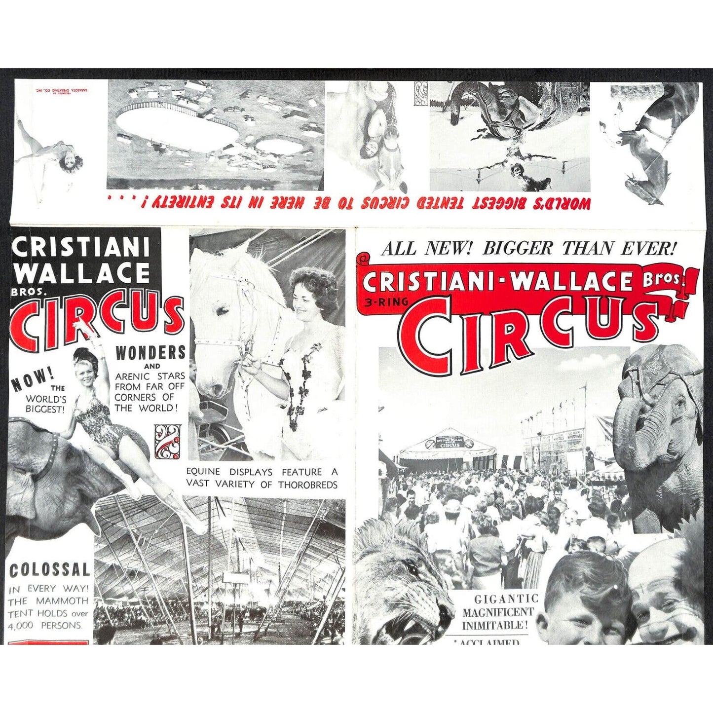 Cristiani Wallace Bros. Circus Fold Out Single Sheet Brochure c1963-65 Scarce