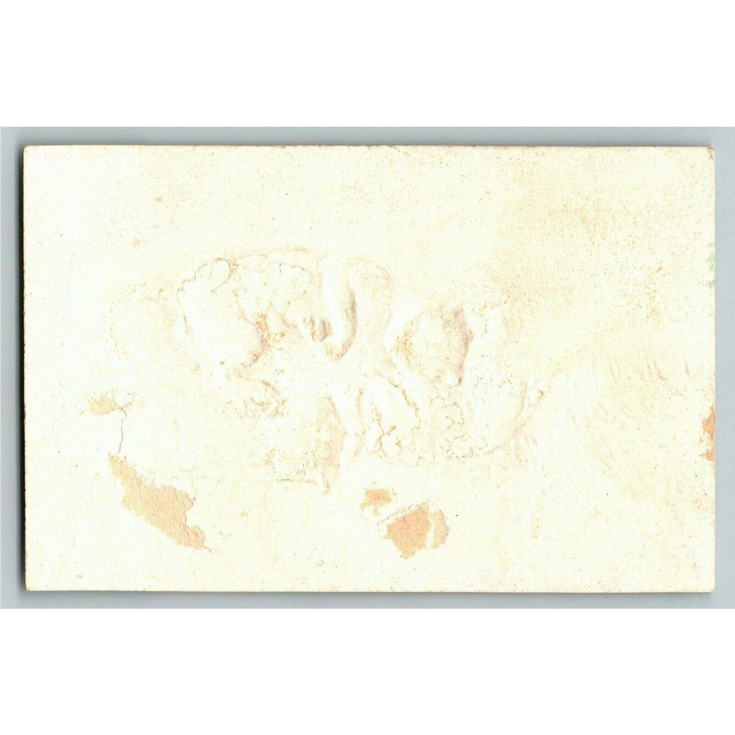 Victorian Small Blank Trade Card Kittens Cats Playing Outdoors - Embossed