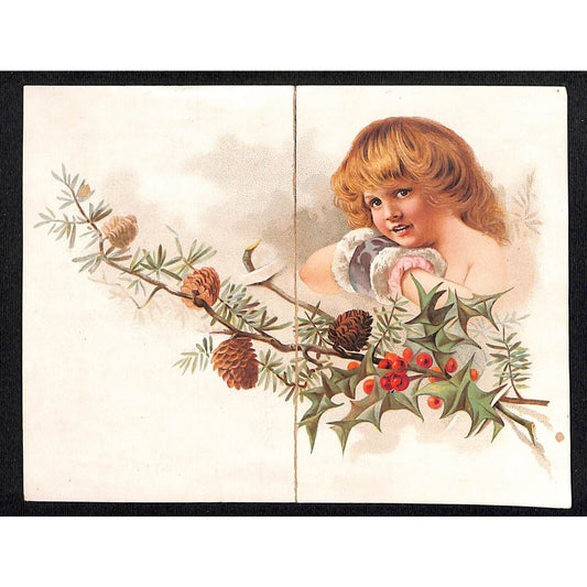 J. Will Campbell & Co. Madison, Iowa Large Victorian Trade Card Girl Holly