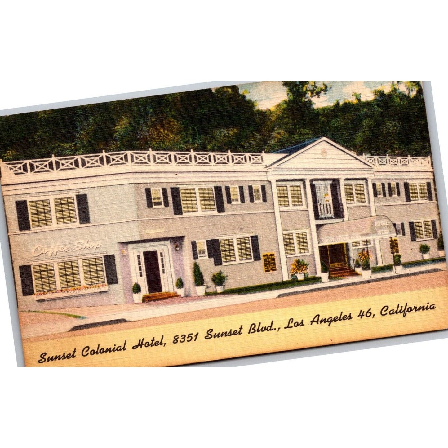 Los Angeles Sunset Colonial Hotel Linen Postcard c1935-40's VGC Wood Grain Rev.