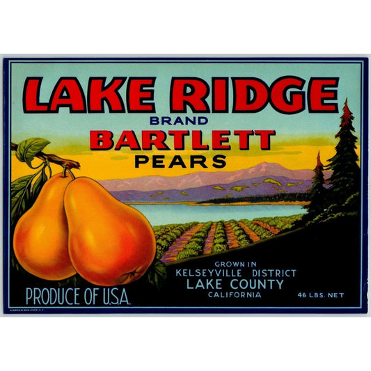 Lake Ridge Brand Bartlett Pears Vintage Original Paper Fruit Crate Label