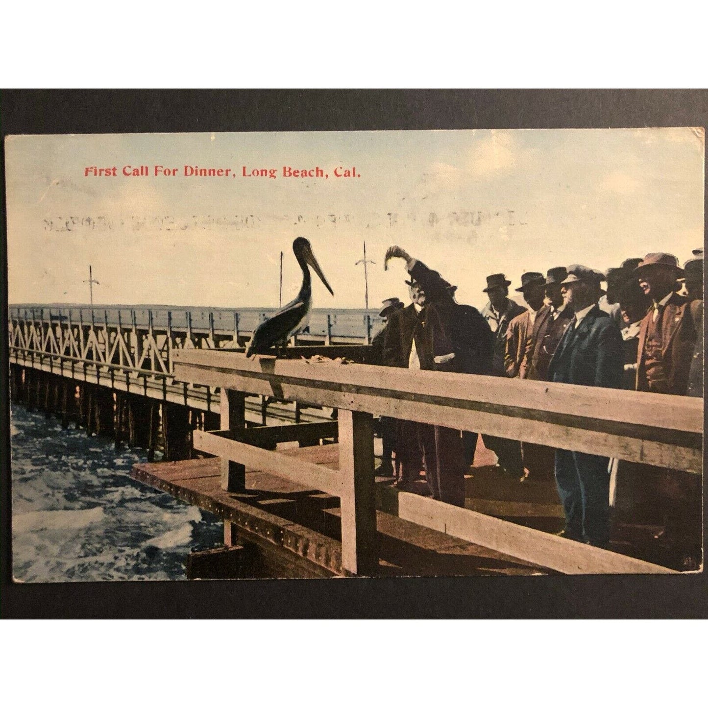 Vintage RPPC Postcard - First Call for Dinner (Pelican) Long Beach, California