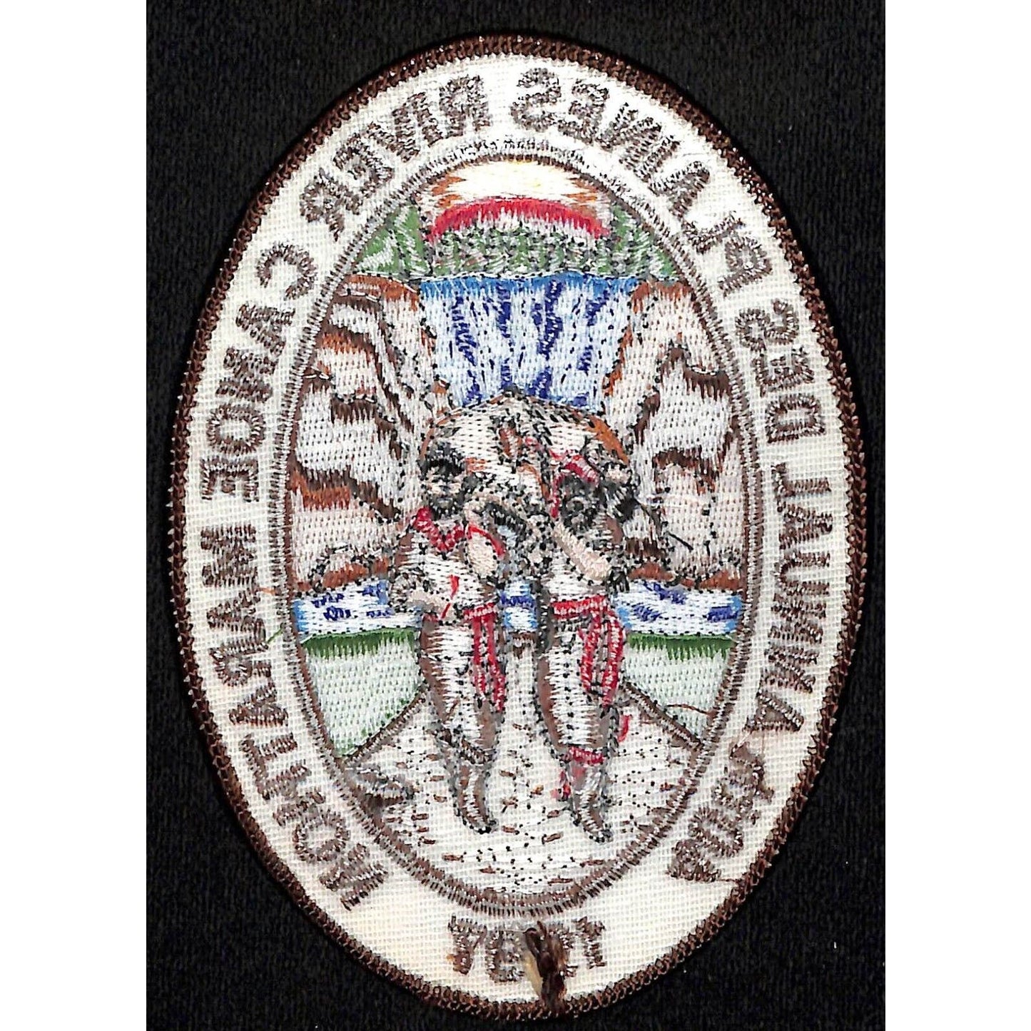 BSA Des Plaines River Canoe Marathon 1997 Embroidered Patch NOS 3 3/4" x 5 1/4"