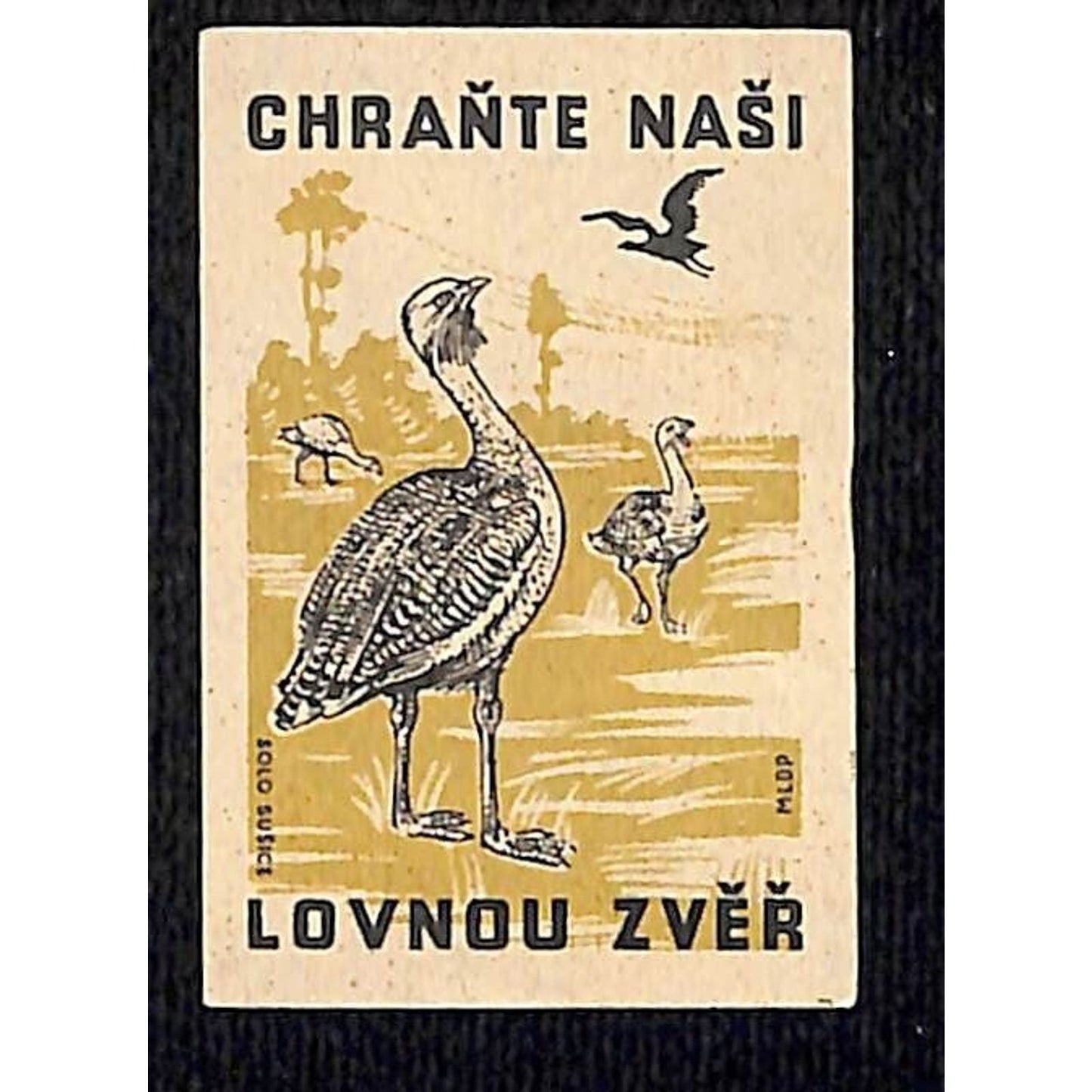Vintage Matchbox Label Czech Protect Our Hunting Animals Birds c1960