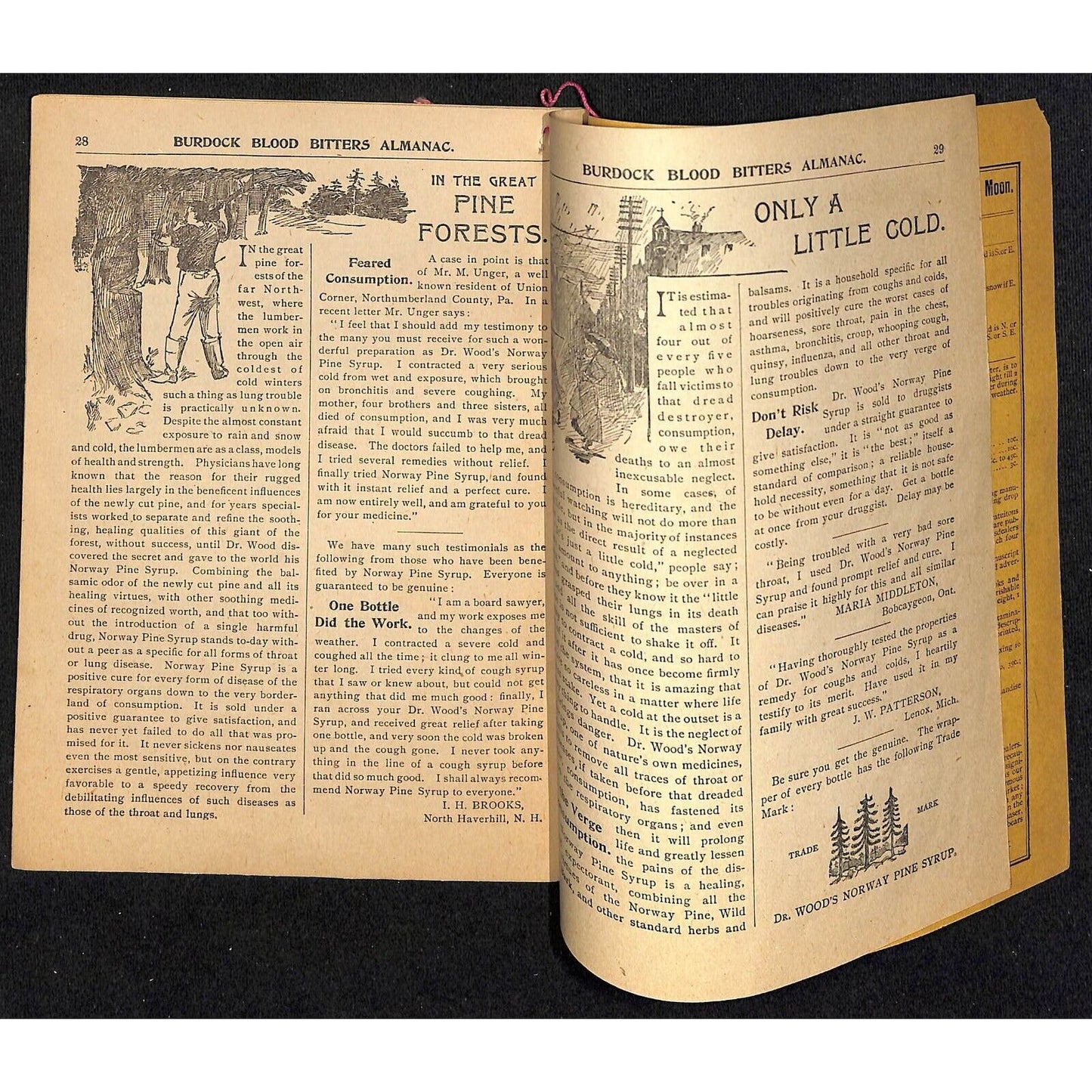 Burdock Blood Bitters 1896 Almanac and Key to Health 32pp VGC