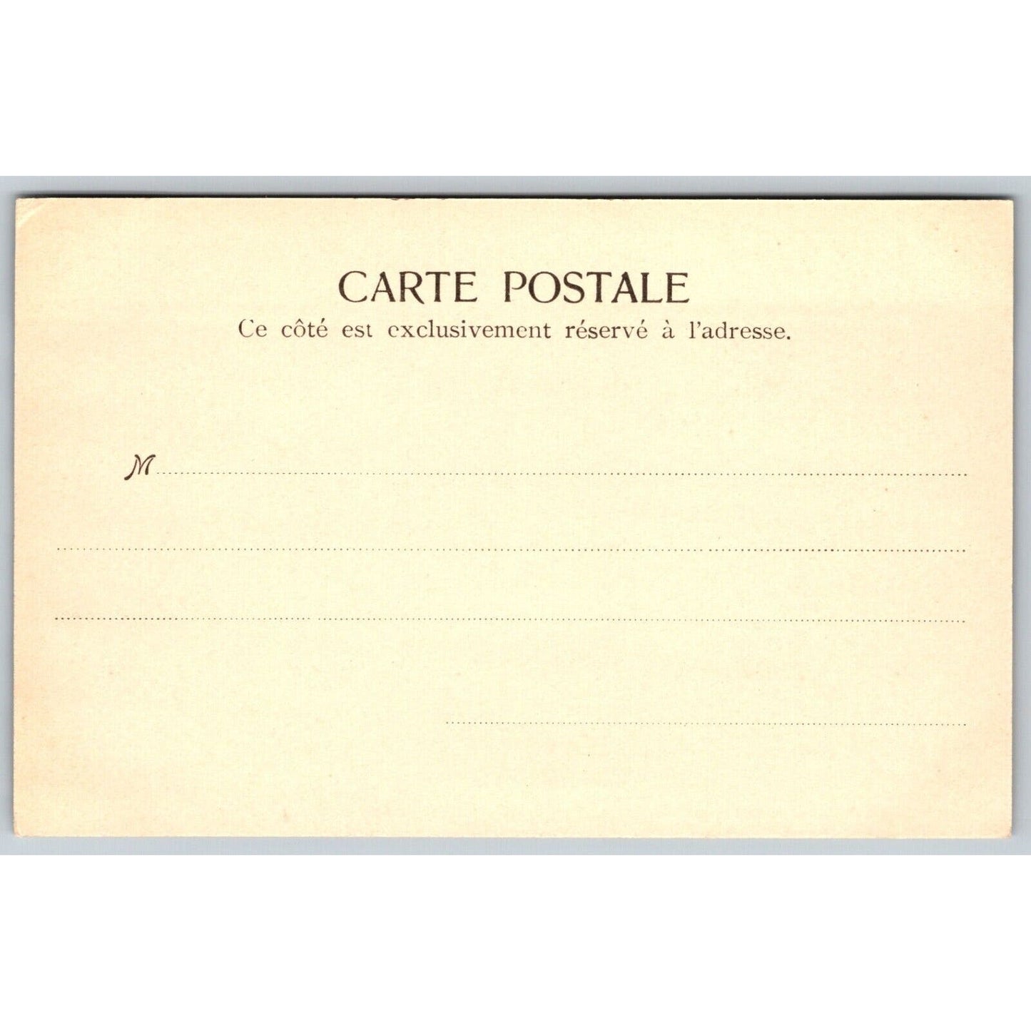 French Postcard Group of (Street?) Dogs Constantinople 1901-1907 NP VGC