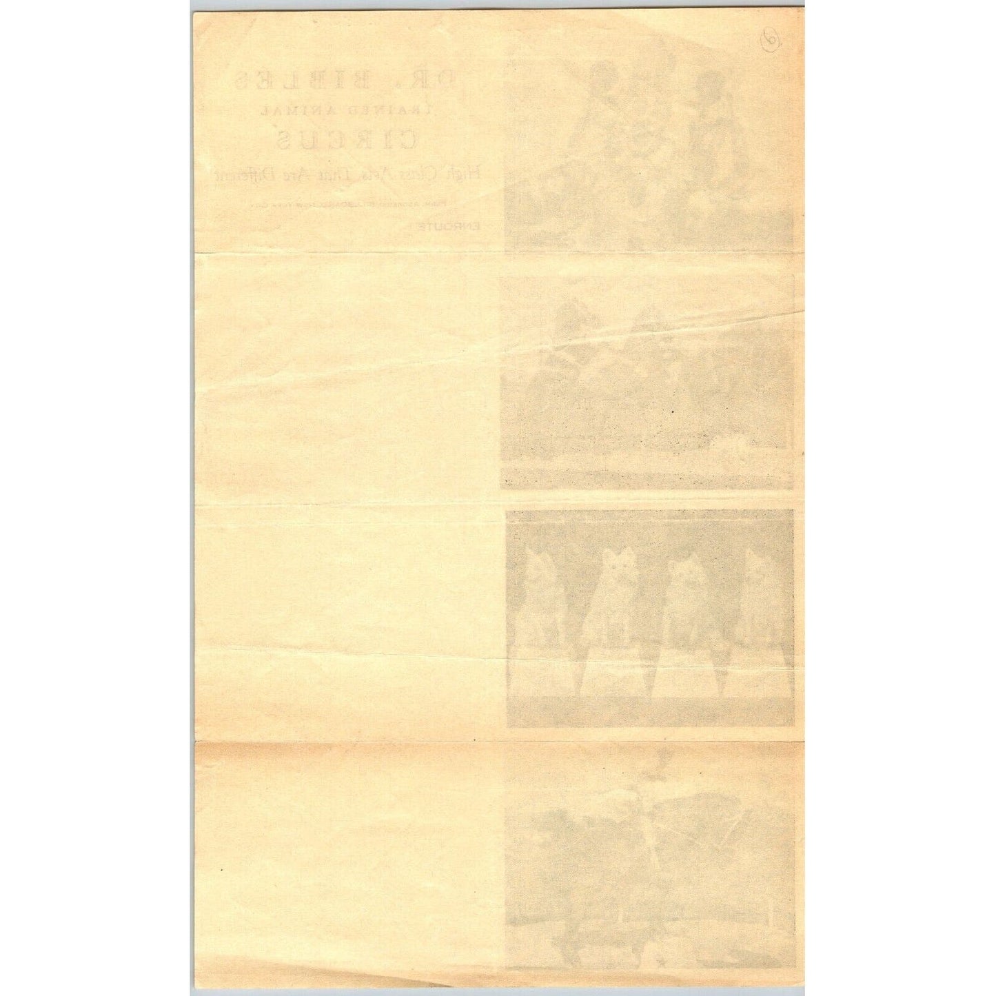 Dr. Bibles Trained Animal Circus Letterhead c1944 "High Class Acts" Very Scarce