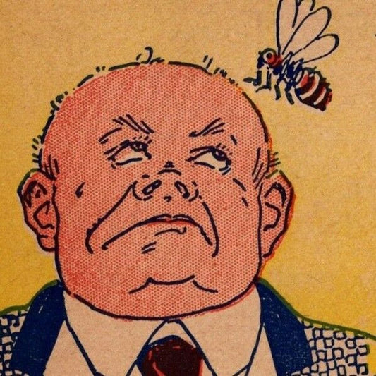 "I Would Like To Be (Bee)" c1905 Undivided NP Comic Humor Postcard