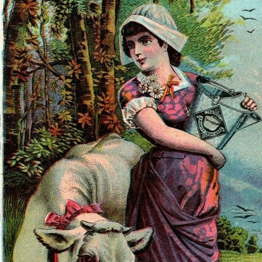 Granite Iron Ware for Kitchen and Table Cow Putnam, CONN Victorian Trade Card