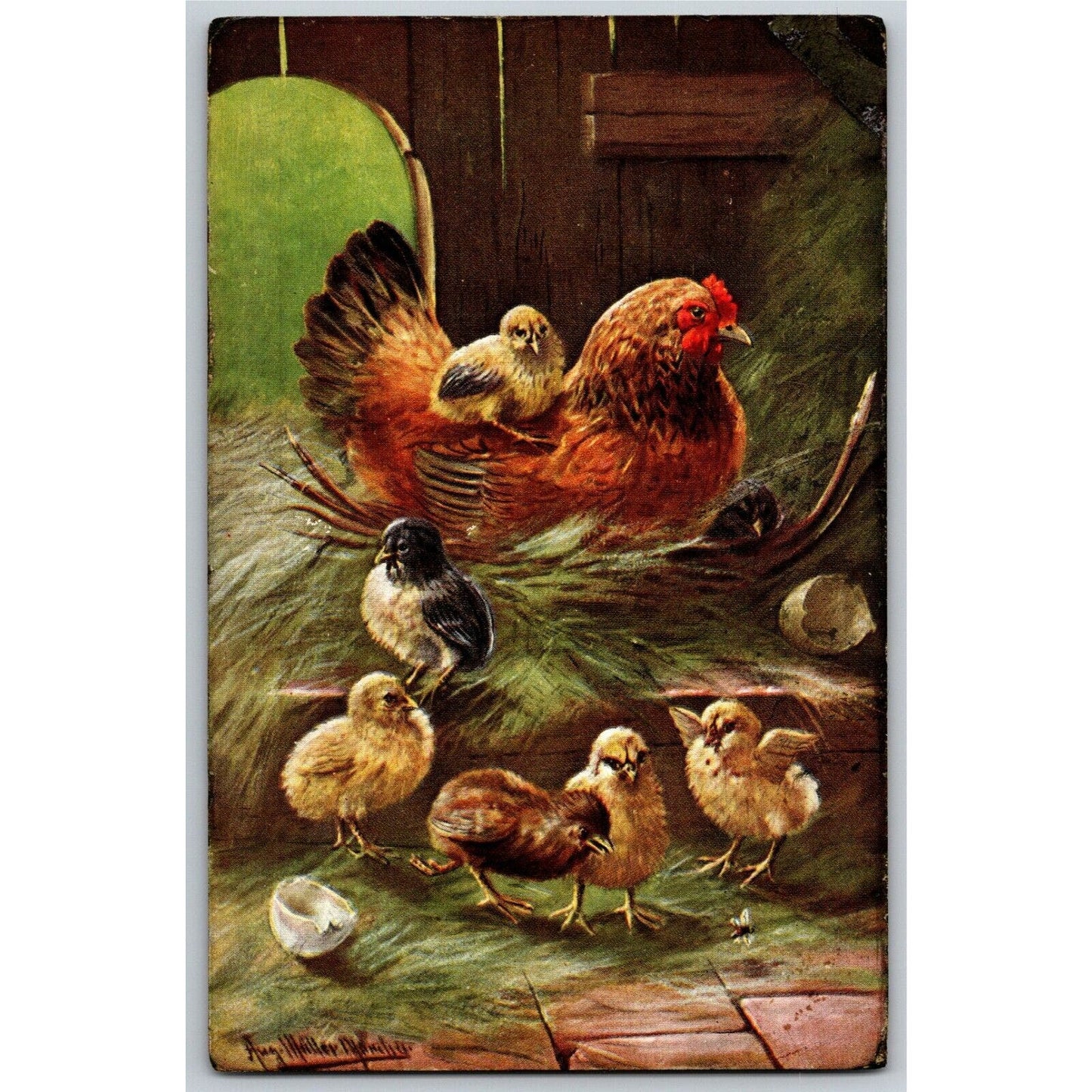 Vintage c1908 Postcard - Chicken in Hen House with Her Chicks