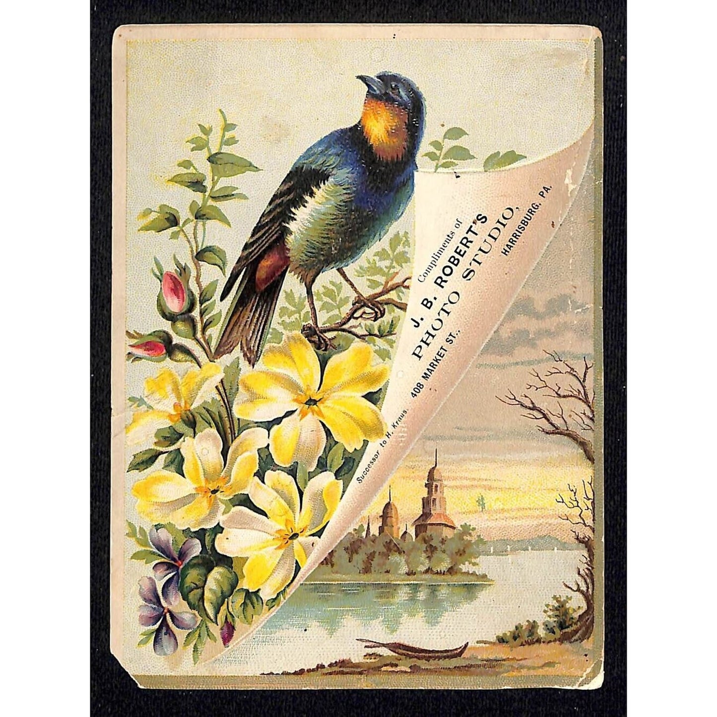 Harrisburg, PA J.B. Roberts Photo Studios Victorian Trade Card Bluebird Flowers