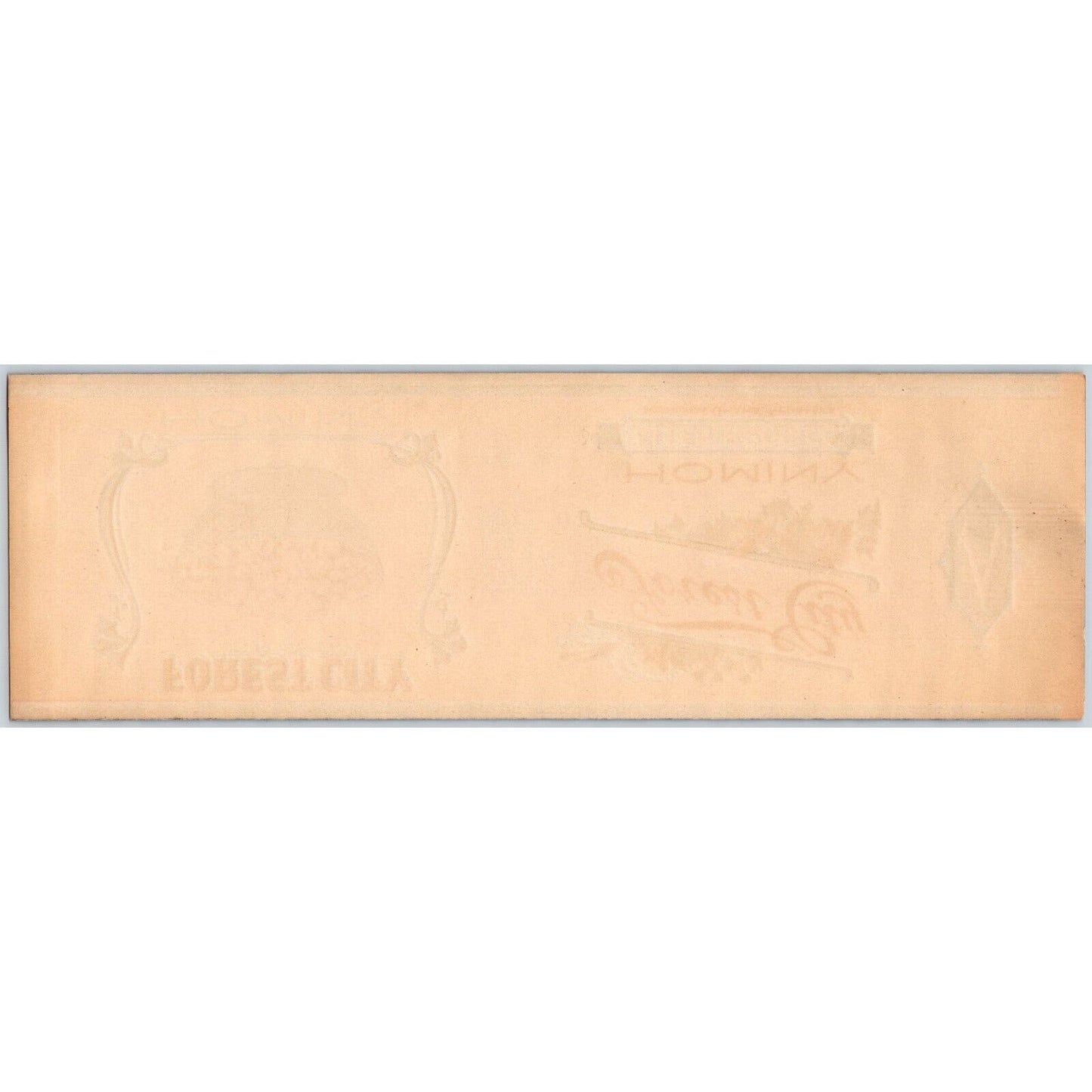 Forest City Hominy Paper Can Label Allen Bros. Omaha c1910's-20's VGC Scarce