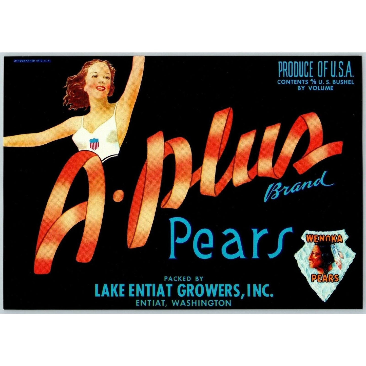 A Plus Pears Vintage Original Paper Fruit Crate Label Lake Entiat Growers Wash.
