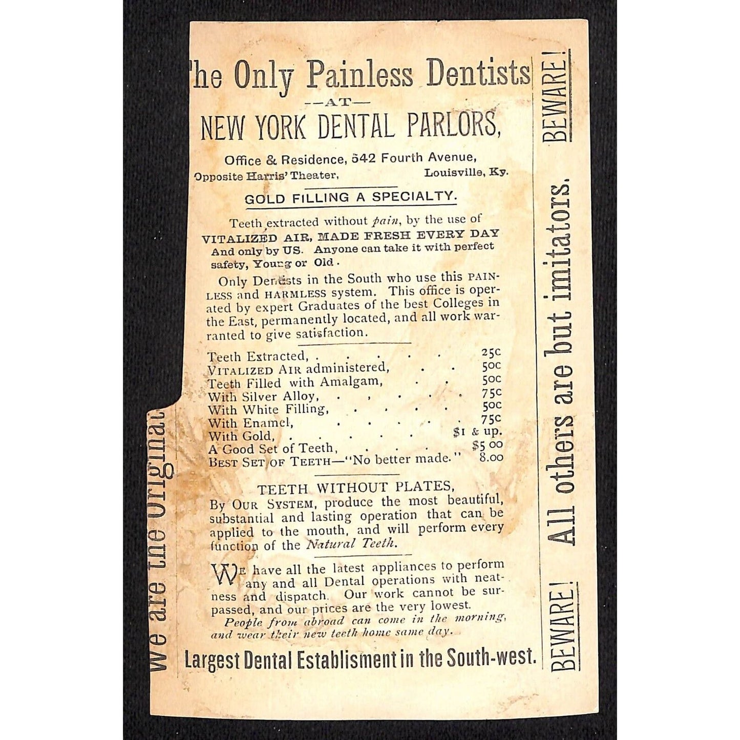 New York Dental Parlors Louisville KY (4) Victorian Trade Cards w/ Birds