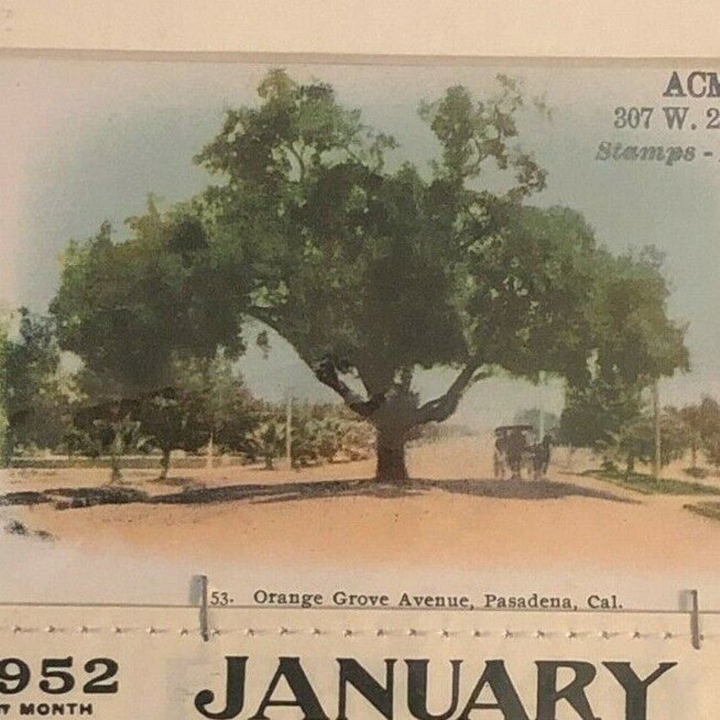 1952 Matted Postcard / Calendar Orange Grove Avenue, Pasadena, CA