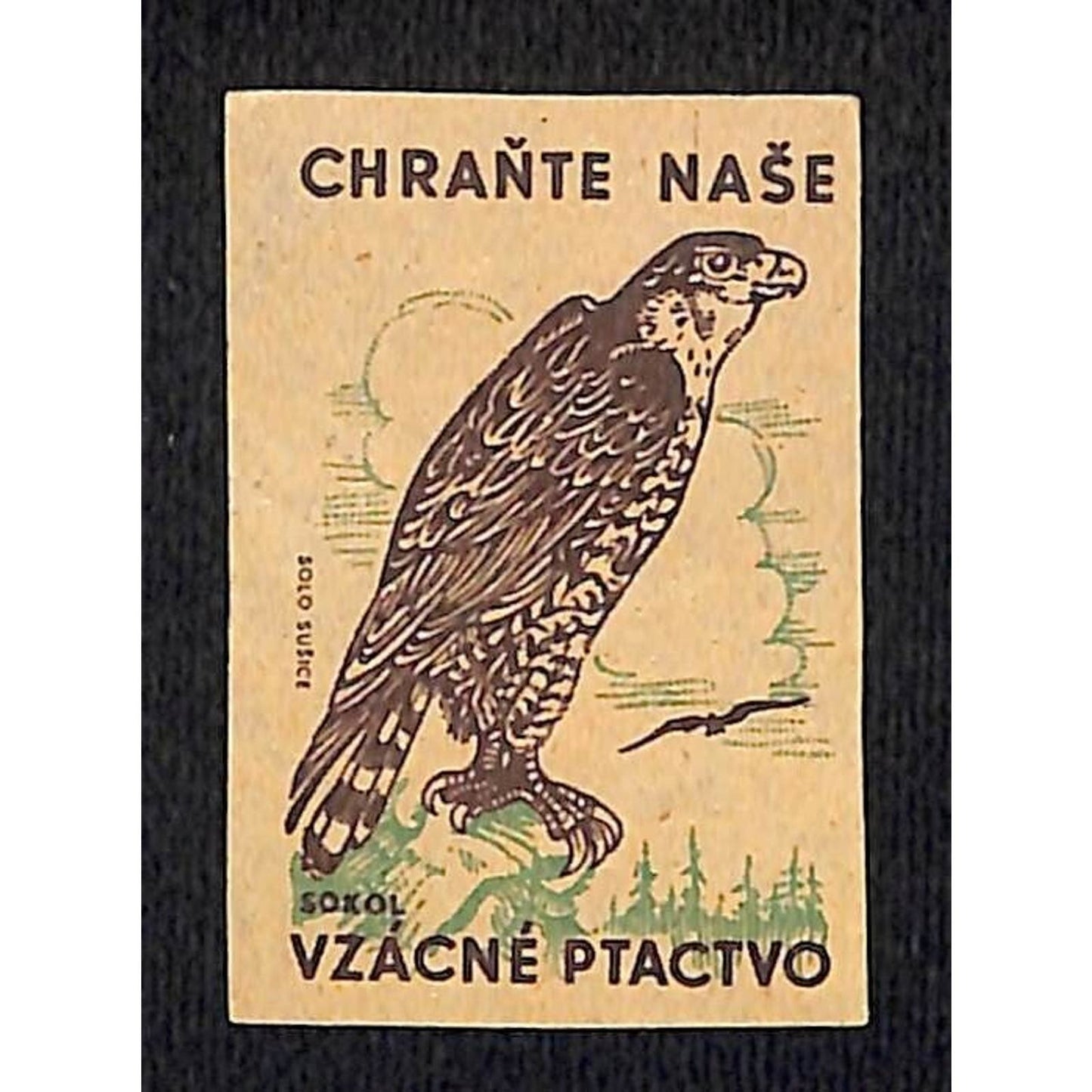 Vintage Matchbox Label Czech Protect Our Rare Birds Eagle c1960