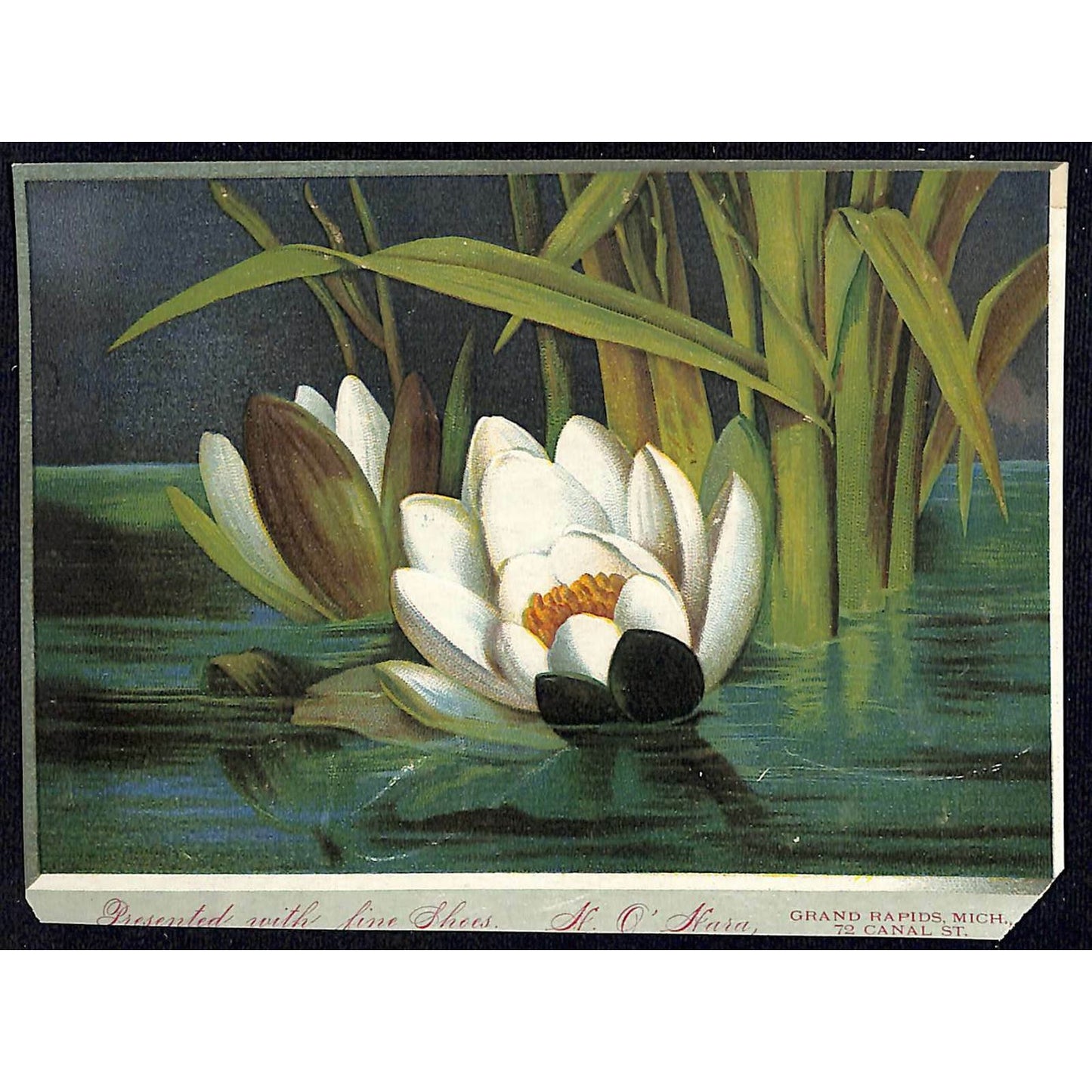 1880-90's Victorian Trade Card - H. O' Hara Shoes Grand Rapids, MI Water Lilies