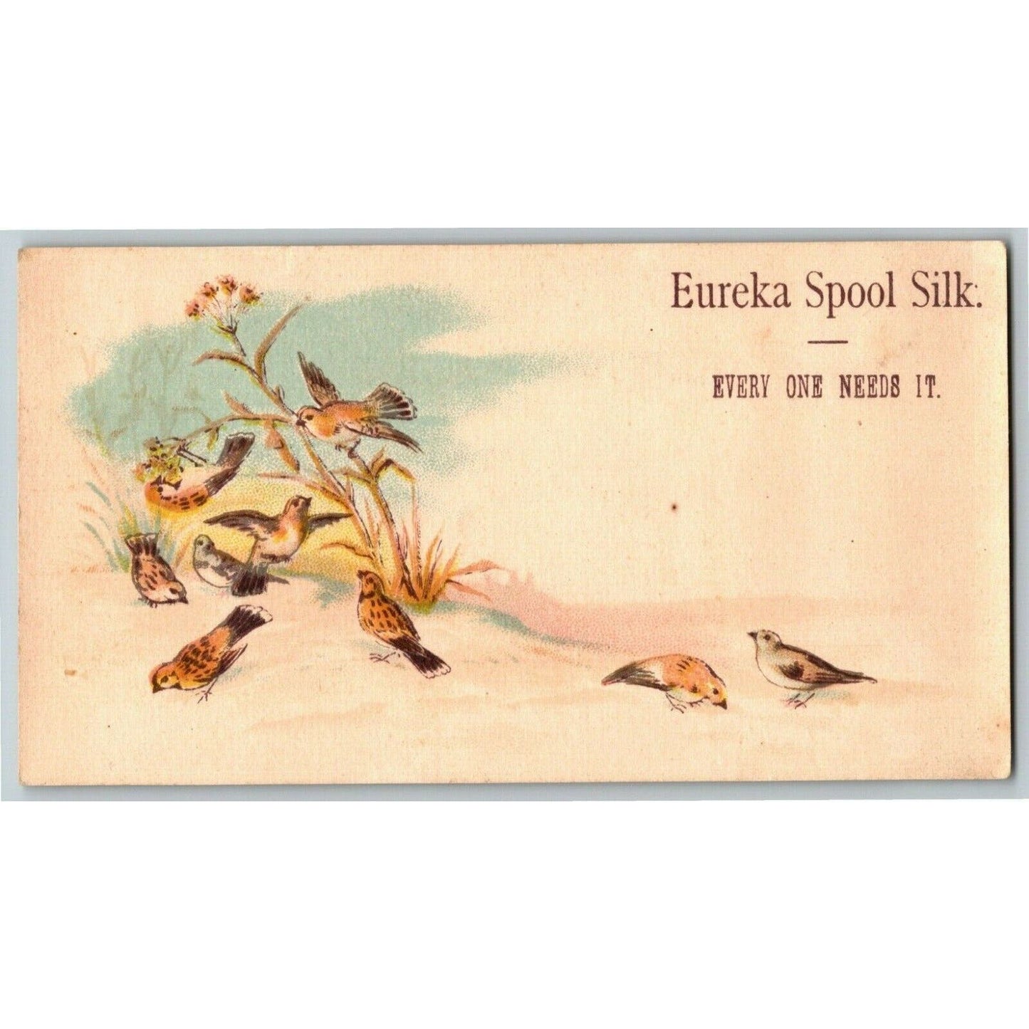 Victorian Trade Card - Eureka Spool Silk - Birds Milling About on the Ground