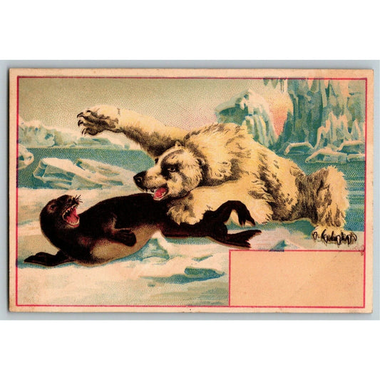 Bear Attacks Seal Victorian Trade Card Arctic Scene - Blank- No Text