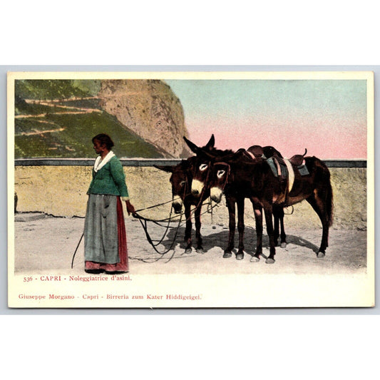 Italian Postcard Capri "Donkey Hirer" Woman Walks Along Path c1901-1907 NP
