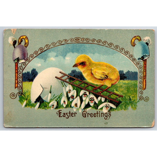 Easter Postcard Baby Chick Climbs Ladder on Egg Floral PM 1910-15