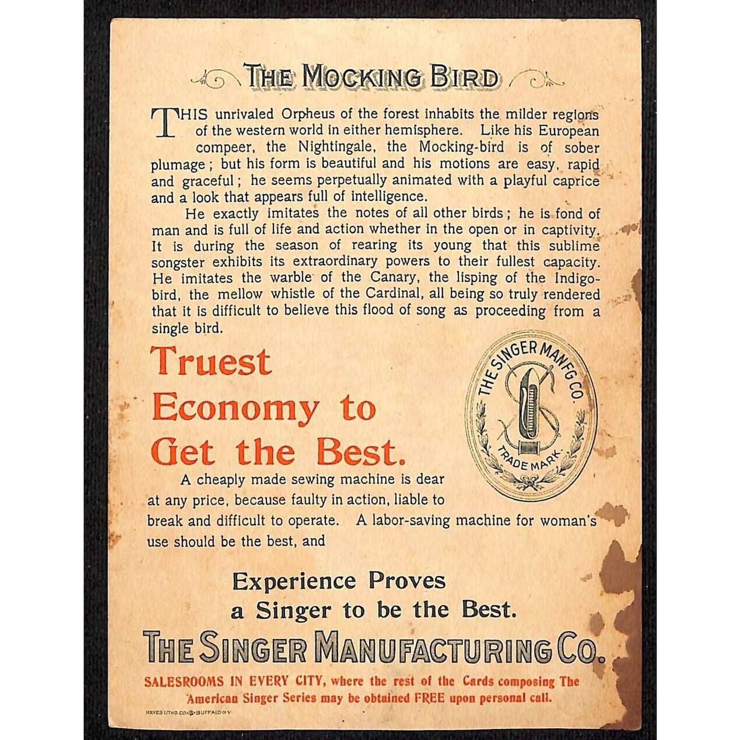 Singer Sewing American Songbird Mocking Bird w/ Egg Trade Card c1900