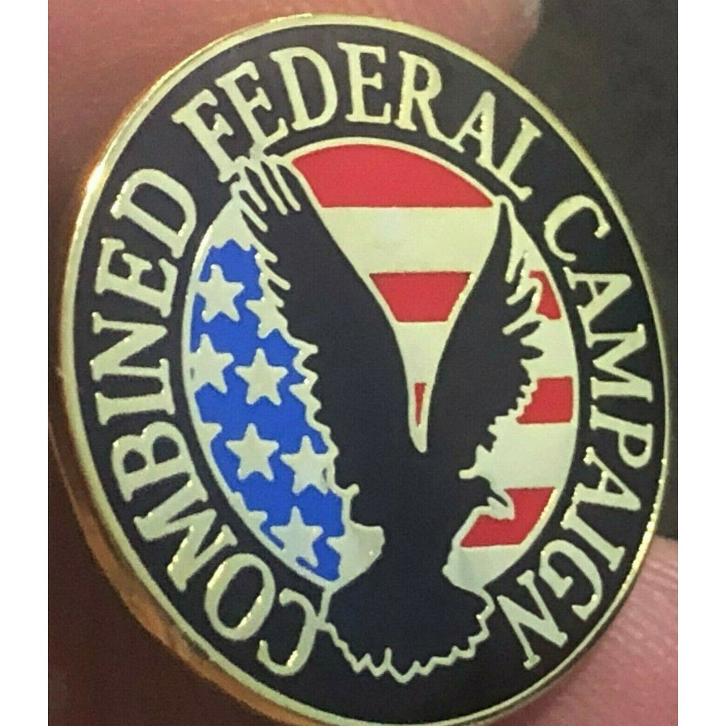 Official NASA "Combined Federal Campaign" Enamel Lapel Pin