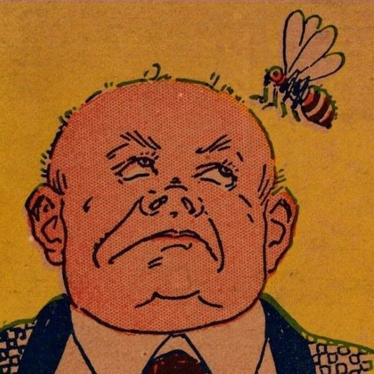 "I Would Like To Be (Bee)" c1905 Undivided NP Comic Humor Postcard